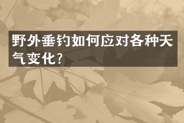 野外垂钓如何应对各种天气变化？