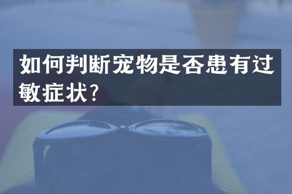 如何判断宠物是否患有过敏症状？