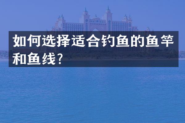 如何选择适合钓鱼的鱼竿和鱼线？