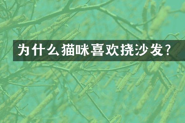 为什么猫咪喜欢挠沙发？