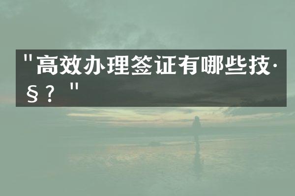 "高效办理签证有哪些技巧？"