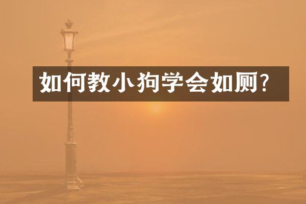 如何教小狗学会如厕？