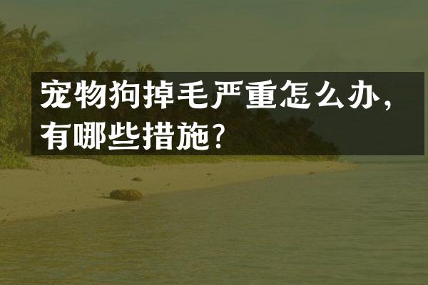 宠物狗掉毛严重怎么办，有哪些措施？