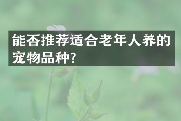 能否推荐适合老年人养的宠物品种？