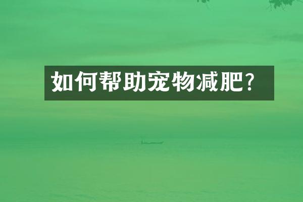 如何帮助宠物减肥？