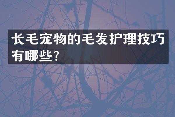 长毛宠物的毛发护理技巧有哪些？
