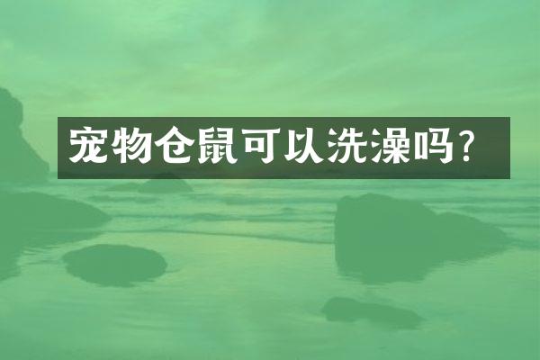 宠物仓鼠可以洗澡吗？