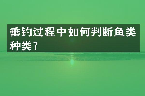 垂钓过程中如何判断鱼类种类？