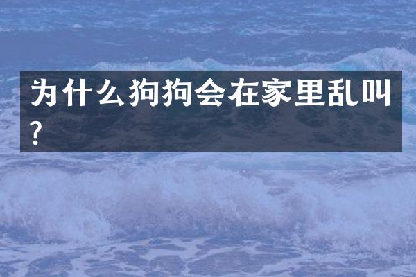 为什么狗狗会在家里乱叫？