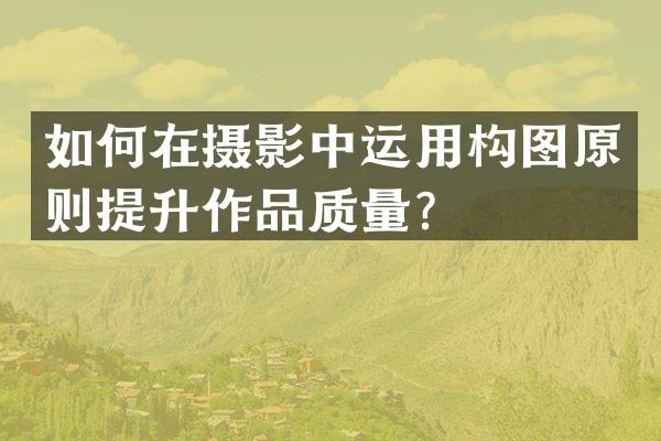 如何在摄影中运用构图原则提升作品质量？