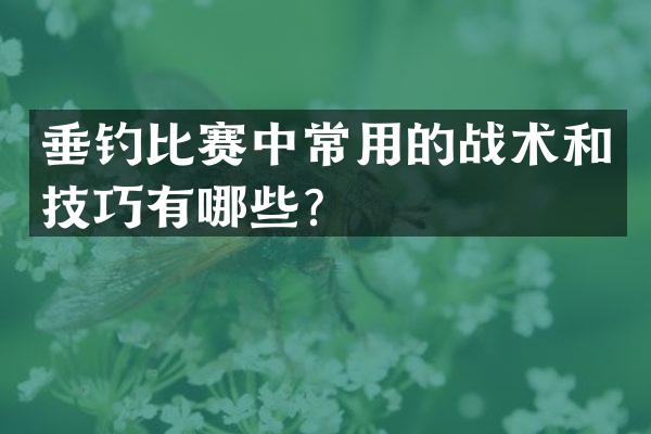 垂钓比赛中常用的战术和技巧有哪些？