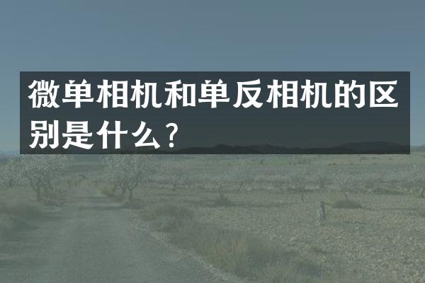 微单相机和单反相机的区别是什么？