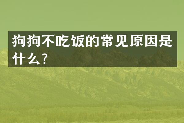 狗狗不吃饭的常见原因是什么？