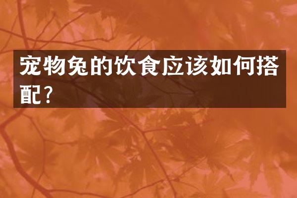宠物兔的饮食应该如何搭配？
