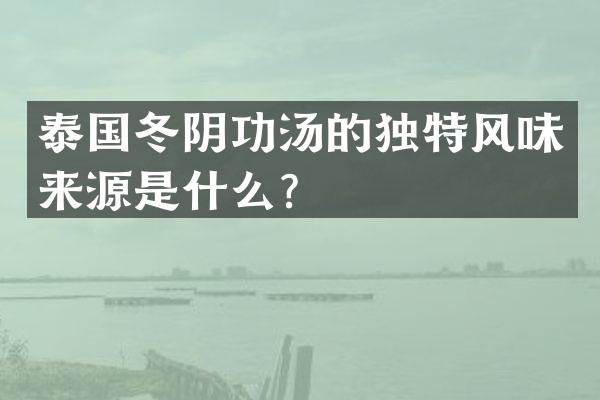 泰国冬阴功汤的独特风味来源是什么？