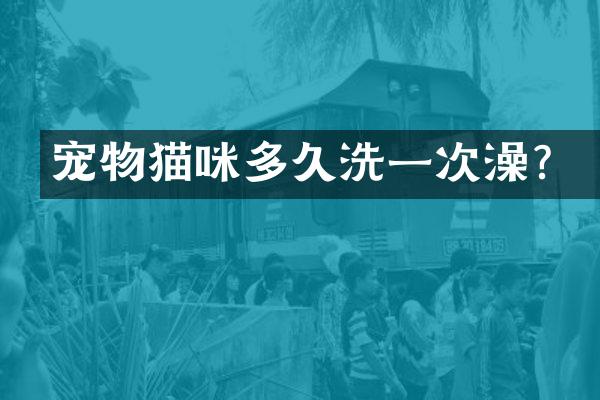 宠物猫咪多久洗一次澡？