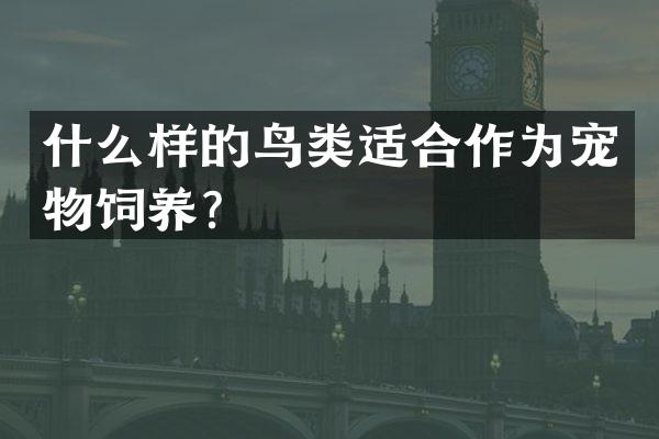什么样的鸟类适合作为宠物饲养？
