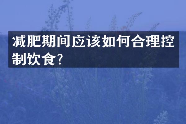 减肥期间应该如何合理控制饮食？