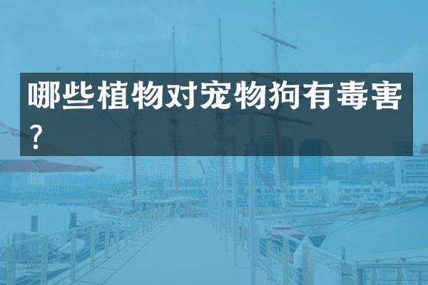 哪些植物对宠物狗有毒害？