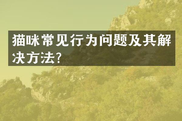 猫咪常见行为问题及其解决方法？