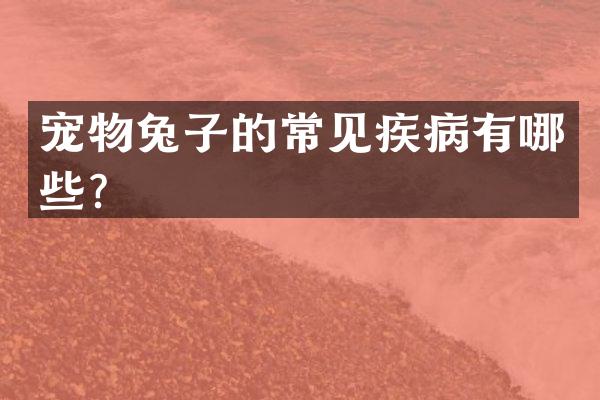宠物兔子的常见疾病有哪些？