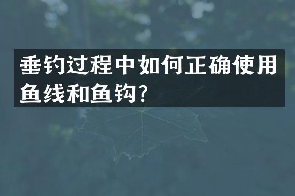 垂钓过程中如何正确使用鱼线和鱼钩？