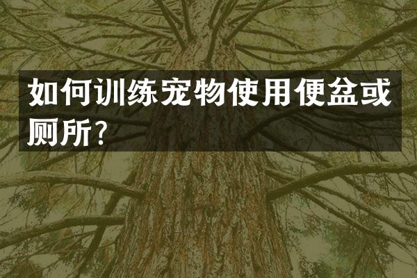 如何训练宠物使用便盆或厕所？