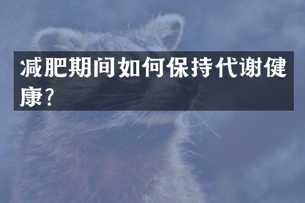 减肥期间如何保持代谢健康？