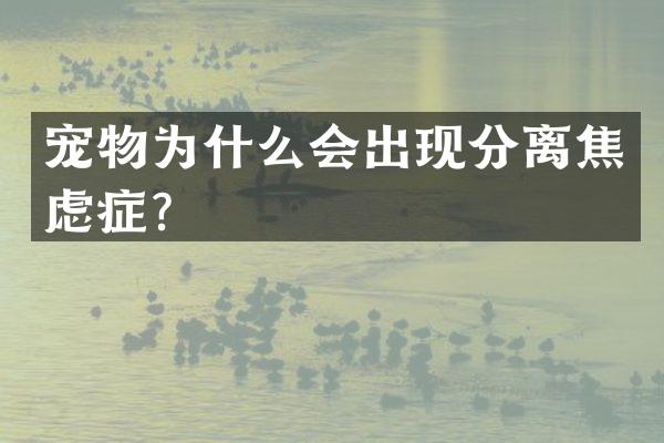 宠物为什么会出现分离焦虑症？