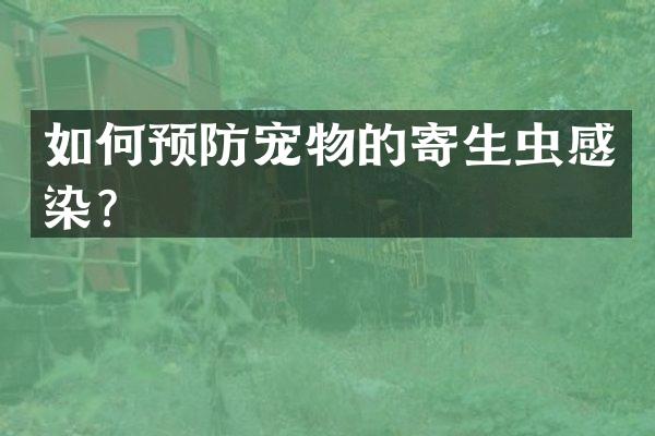 如何预防宠物的寄生虫感染？