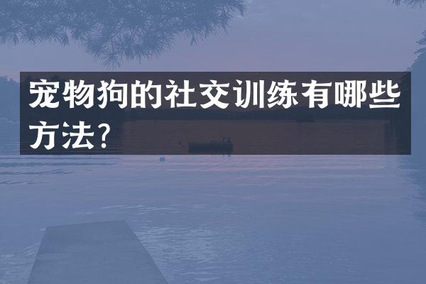 宠物狗的社交训练有哪些方法？