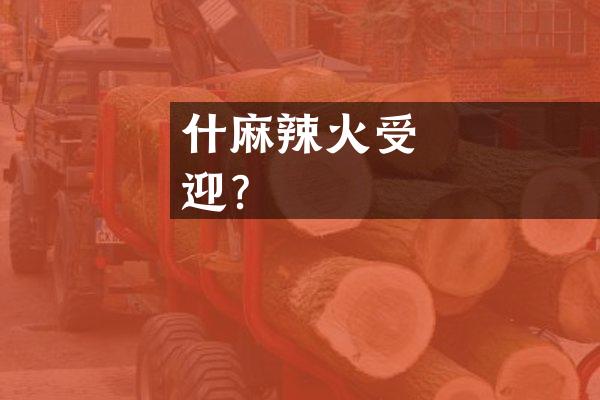 為什麼麻辣火鍋這麼受歡迎？