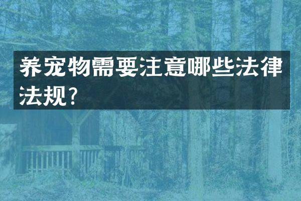 养宠物需要注意哪些法律法规？
