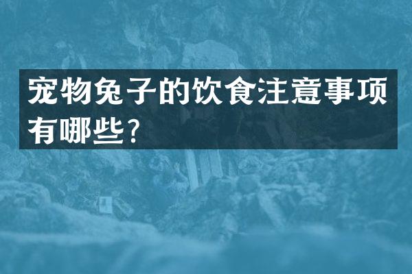 宠物兔子的饮食注意事项有哪些？