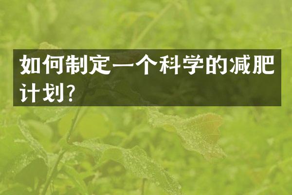如何制定一个科学的减肥计划？