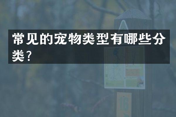 常见的宠物类型有哪些分类？