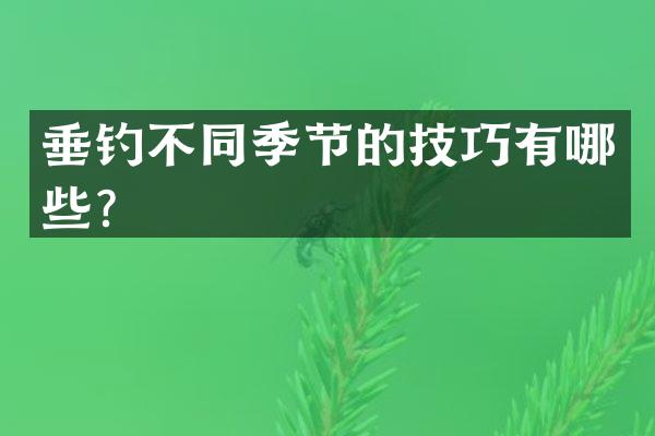 垂钓不同季节的技巧有哪些？