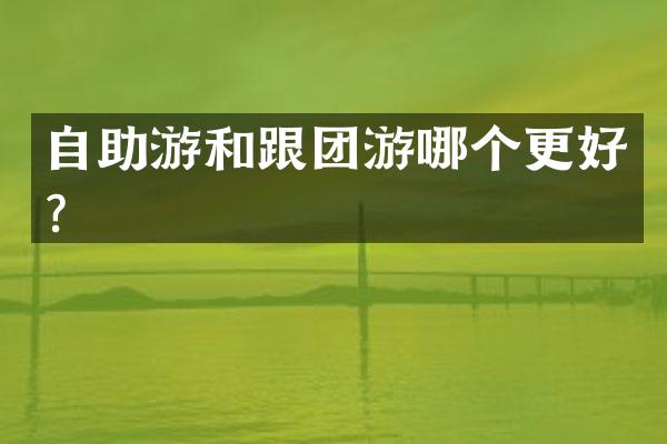 自助游和跟团游哪个更好？