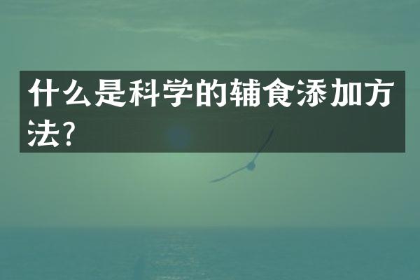 什么是科学的辅食添加方法？