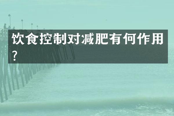 饮食控制对减肥有何作用？