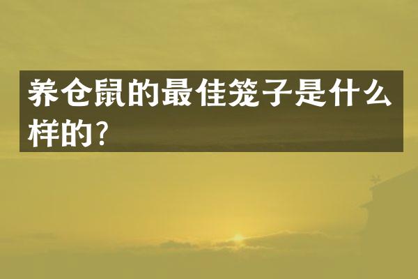 养仓鼠的最佳笼子是什么样的？