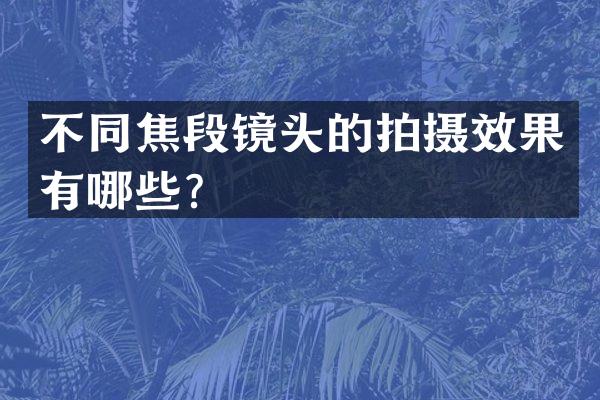 不同焦段镜头的拍摄效果有哪些？