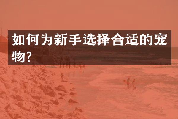 如何为新手选择合适的宠物？