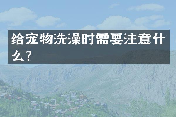 给宠物洗澡时需要注意什么？