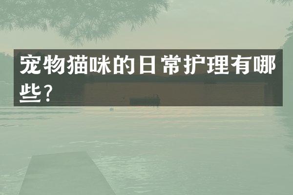 宠物猫咪的日常护理有哪些？