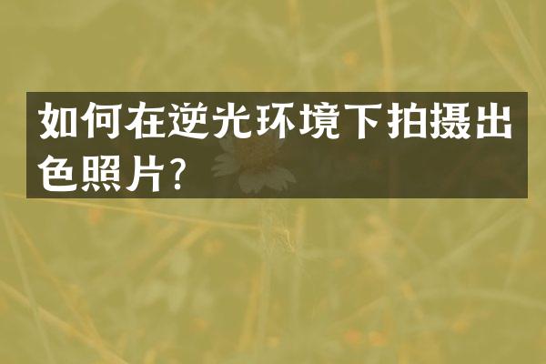 如何在逆光环境下拍摄出色照片？