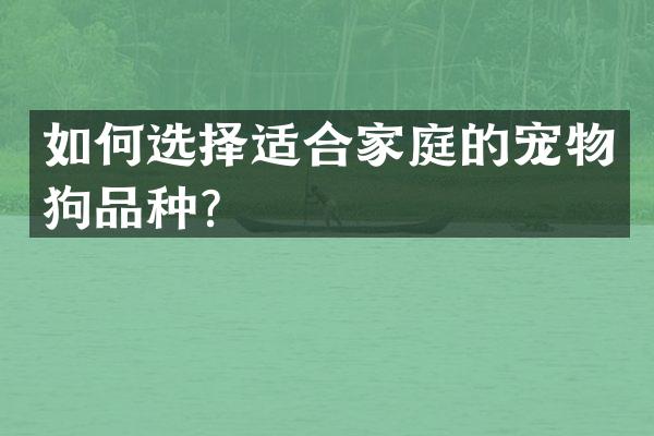 如何选择适合家庭的宠物狗品种？