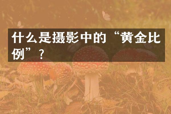 什么是摄影中的&ldquo;黄金比例&rdquo;？
