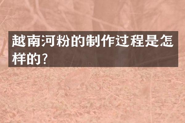 越南河粉的制作过程是怎样的？