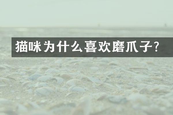 猫咪为什么喜欢磨爪子？